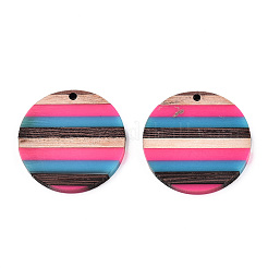Opaque Resin & Walnut Wood Pendants&nbsp;RESI-N039-04