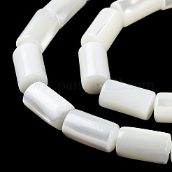 Natural Trochus Shell Beads Strands&nbsp;BSHE-Z003-18
