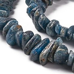 Natural Kyanite Beads Strands&nbsp;G-F719-09