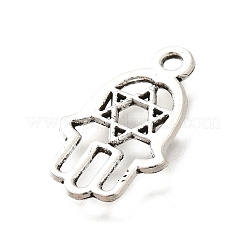 Tibetan Style Alloy Pendants&nbsp;PALLOY-D291-19AS