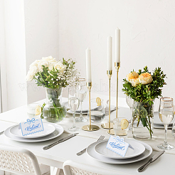 Paper Table Place Cards&nbsp;OFST-WH0004-156D