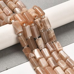 Natural Sunstone Beads Strands&nbsp;G-N327-06-12