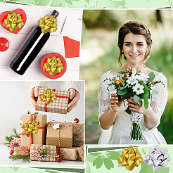 20Pcs 2 Colors Plastic Glitter Powder Flower Ball for Party Wedding Home Outdoor Decoration&nbsp;AJEW-FG0005-69