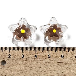 Transparent Glass Beads&nbsp;LAMP-H065-02C