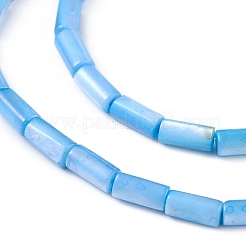 天然淡水貝殻染めビーズ連売り  コラム  コーンフラワーブルー  8x4mm  穴：0.8mm  約46個/連  14.96''（38センチメートル）&nbsp;X-SHEL-M018-11-06