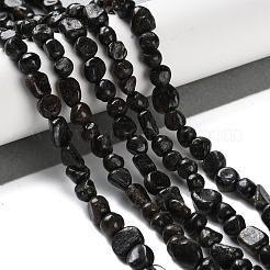 天然カヤナイト/シアナイト/ジステンビーズ連売り  ナゲット  タンブルストーン  4.5~11.5x3~7x3.5~6mm  穴：1~1.2mm  約48~68個/連  15.35~15.94''（39~40.5センチメートル）&nbsp;G-P497-01C-34