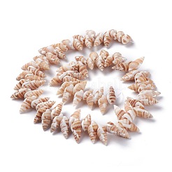 天然石スパイラルシェルビーズ連売り  小麦  14~20x7~10x6~8mm  穴：1mm  15.35インチ（39cm）&nbsp;BSHE-I016-08