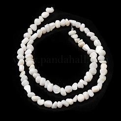 天然淡水シェルビーズ連売り  ナゲット  貝殻色  3.5~6.5x4~6.5x3.5~8mm  穴：1mm  14.65~14.96''（37.2~38センチメートル）&nbsp;SHEL-B003-04