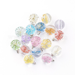 ラウンド合金ガラスチャーム  カドミウムフリー＆鉛フリー  内部のドライフラワーと  プラチナ  20~21x15mm  穴：1.5mm&nbsp;GLAA-Q051-15mm-06P