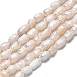 天然養殖淡水パールビーズ連売り  ライス  貝殻色  3.5~6x3~4mm  穴：0.7mm  約60~72個/連  12.99インチ〜13.78インチ（33cm〜35cm）&nbsp;LS-PEAR-N012-03C
