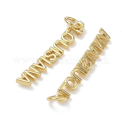 Brass Pendants&nbsp;KK-H256-02G-01
