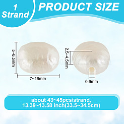 1 Strand Natural Cultured Freshwater Pearl Beads Strands&nbsp;PEAR-GO0001-24
