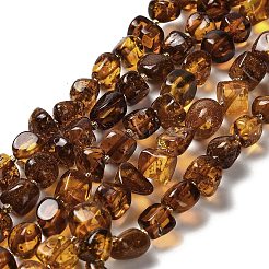 Natural Amber Beads Strands&nbsp;G-L095-K01-01