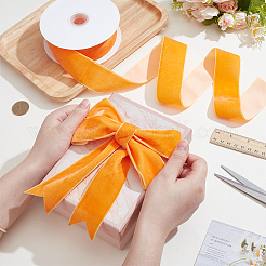 Nylon Ribbon&nbsp;OCOR-WH0111-10B