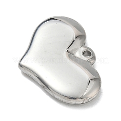 304 Stainless Steel Pendants&nbsp;STAS-G361-06P