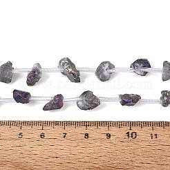 電気メッキ加工された未加工の天然アメジストビーズの連  ナゲット  プラスチックチューブビーズ付き  虹メッキ  4~21x7~16x4~13mm  穴：1~1.2mm  約23~25個/連  15.35~16.54インチ（39~42cm）&nbsp;G-Q610-06D