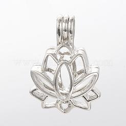 Alloy Diffuser Locket Pendants&nbsp;PALLOY-S062-40P