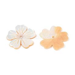 天然の黄色い貝殻の彫刻ペンダント  花のチャーム  貝殻色  21x21x2mm  穴：1.5mm&nbsp;BSHE-T014-13
