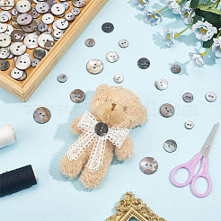 120Pcs 6 Styles Dyed Natural Shell Buttons&nbsp;BUTT-WR0001-42A