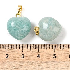 Natural Amazonite Pendants&nbsp;G-J386-H16-G