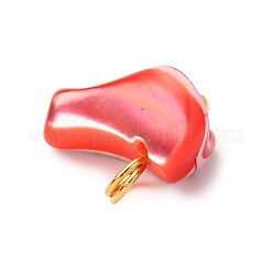 Dyed Natural Trochid Shell/Trochus Shell Pendants&nbsp;PALLOY-JF04483-02