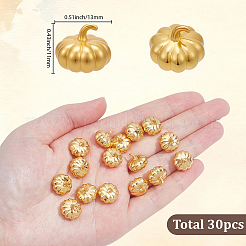 30Pcs Zinc Alloy Display Decorations&nbsp;DJEW-SP0001-65