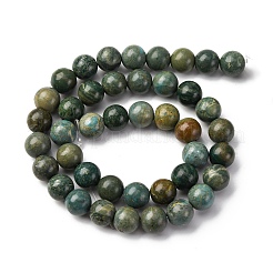 Natural Shoushan Jade Beads Strands&nbsp;G-L624-A01-10mm