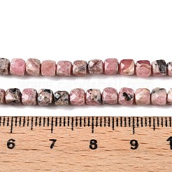 Natural Rhodonite Beads Strands&nbsp;G-N342-132