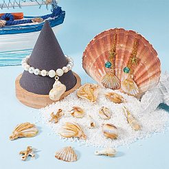 アクリルパーツ  シェルシェイプチャーム  ミックスカラー  18~37x10~30x6~19mm  穴：1.5~2.3mm  4個/スタイル&nbsp;MACR-SC0001-19