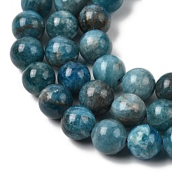 Natural Apatite Beads Strands&nbsp;G-F674-04-8mm
