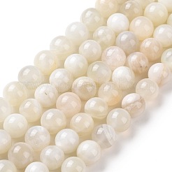 Natural White Moonstone Beads Strands&nbsp;G-F674-08-10mm-01