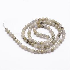 Natural Labradorite Bead Strands&nbsp;G-D840-64-4mm