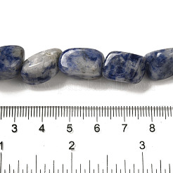 Natural Blue Spot Jasper Beads Strands&nbsp;G-B078-D33-04
