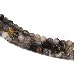 Natural Black Rutilated Quartz Beads Strands&nbsp;LS-G-RM250104-C3
