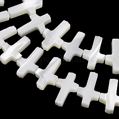 Natural Trochid Shell/Trochus Shell Beads Strands&nbsp;SH-CBA2978-15
