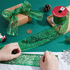 Sparkle Polyester Mesh Ribbon with Paillettes&nbsp;OCOR-WH0082-476