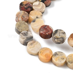 Natural Crazy Agate Beads Strands&nbsp;G-M454-B10