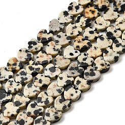 Natural Dalmatian Jasper Beads Strands&nbsp;LS-G-A272-A01-32