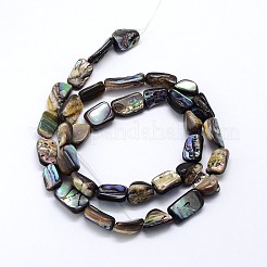 Natural Paua Shell Beads Strands&nbsp;SSHEL-J047-03