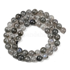 Natural Labradorite Beads Strands&nbsp;G-Z133-A01-7mm-01