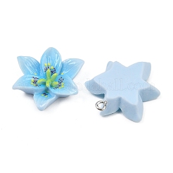 Opaque Resin Pendants&nbsp;CRES-D328-04C