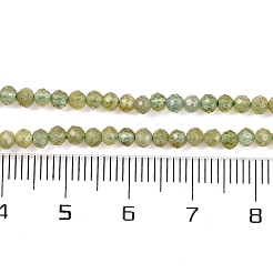 Natural Green Apatite Beads Strands&nbsp;G-F770-C03-02