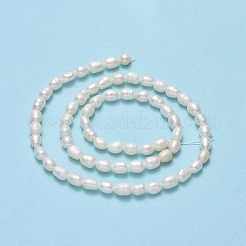 天然養殖淡水パールビーズ連売り  ライス  リネン  4.5~5.5x3.5~4.5mm  穴：0.6mm  約62~66個/連  13.39