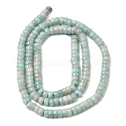 Natural Amazonite Heishi Beads Strands&nbsp;G-A299-A11-01