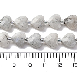 Natural Labradorite Beads Strands&nbsp;G-P570-E18-01