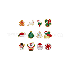 12Pcs 12 Styles Towel Cloth Computerized Embroidery Iron On/Sew On Patches&nbsp;DIY-FG0006-09