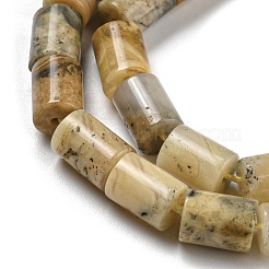 Natural Crazy Lace Agate Beads Strands&nbsp;G-Q1008-A08