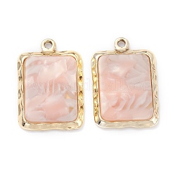 Resin Pendants&nbsp;LS-FIND-XCP0001-04