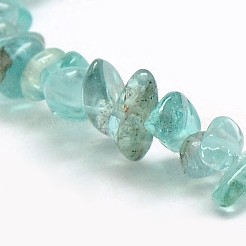 天然アパタイトチップビーズ連売り  3~5x3~5mm  穴：1mm  約32インチ&nbsp;G-L154-23