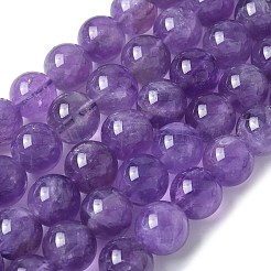 Natural Amethyst Beads Strands&nbsp;G-R446-10mm-21-A